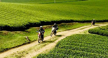 Vacances à moto Vietnam