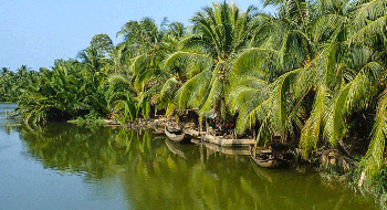 Delta du Mékong 